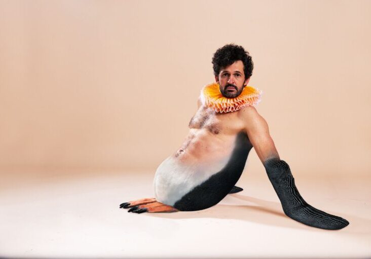 Penguin Seductive_small Credit: Dylan Woodley
