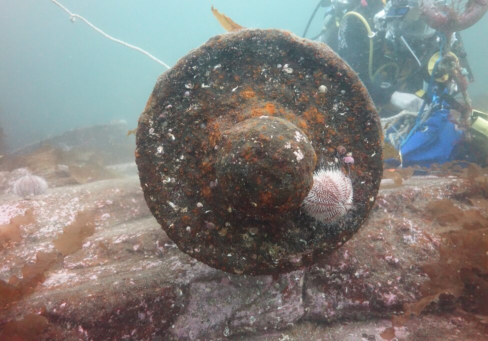 The wreck of the Queen of Sweden
