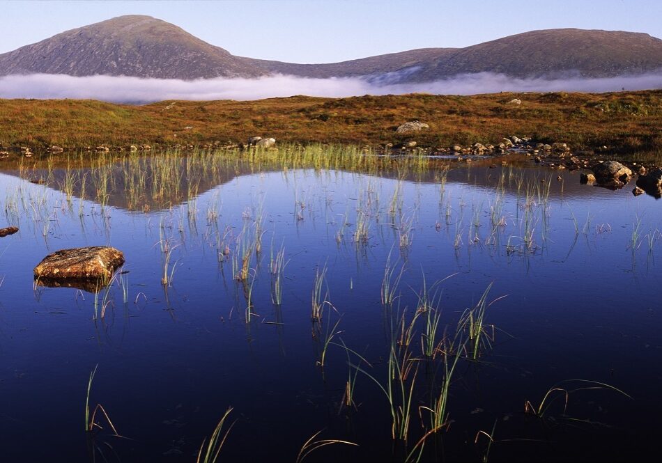 Peatland lochan, Rannoch Moor, Tayside and Clackmannanshire Area.©Lorne Gill A peatland lochan, Rannoch Moor (Photo: Lorne Gill/SNH)