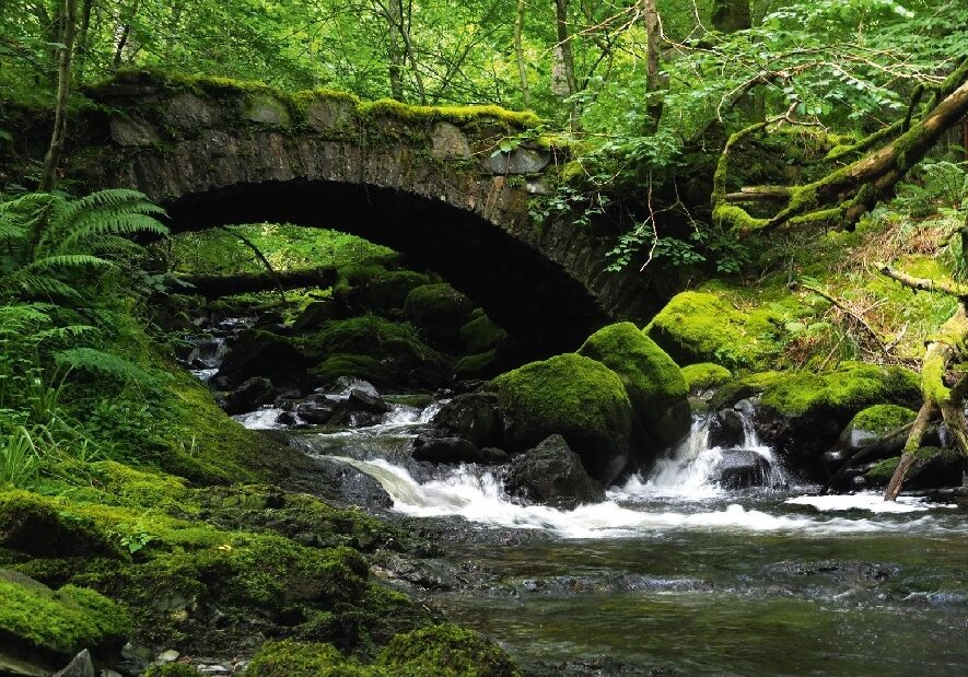 River Run By taken by Gordon Clark