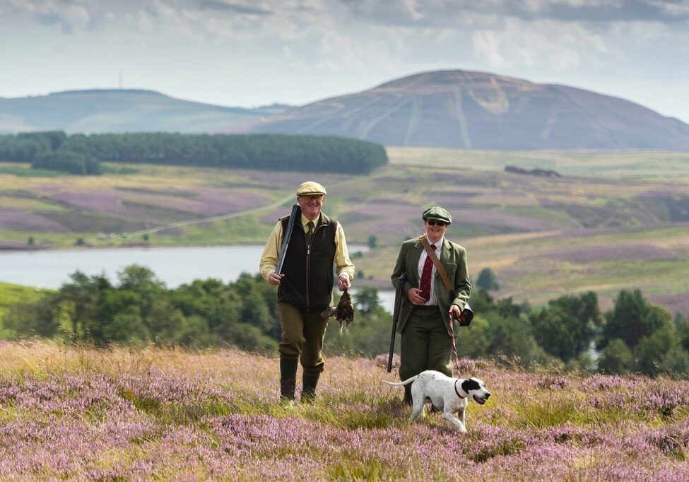 The start of the grouse season (Photo: Phil Wilkinson)