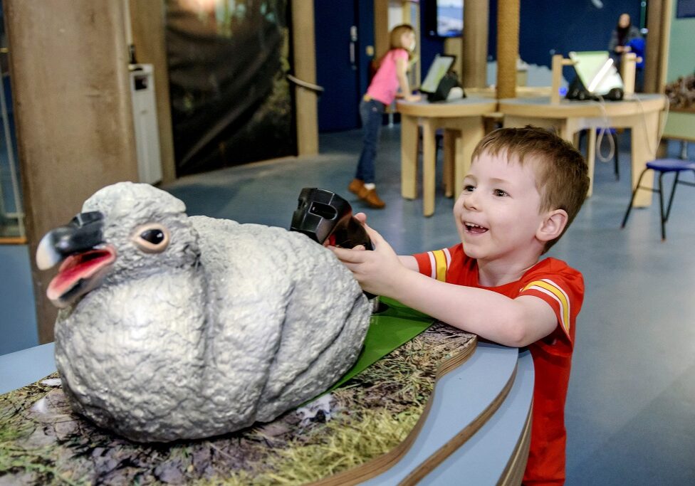 Euan Innes (4) from Midlothian was an early visitor to the Scottish Seabird Centre at the Scottish Seabird Centre (Photo: Helen Pugh)