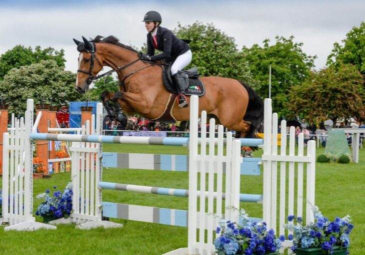 Showjumping Showjumping