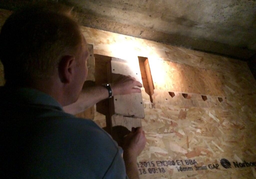 Volunteer Steve installing bat boxes (Photo: Cait McCauley)