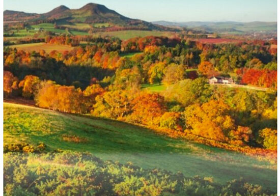 The Tweed Dales: Journeys and Excavations