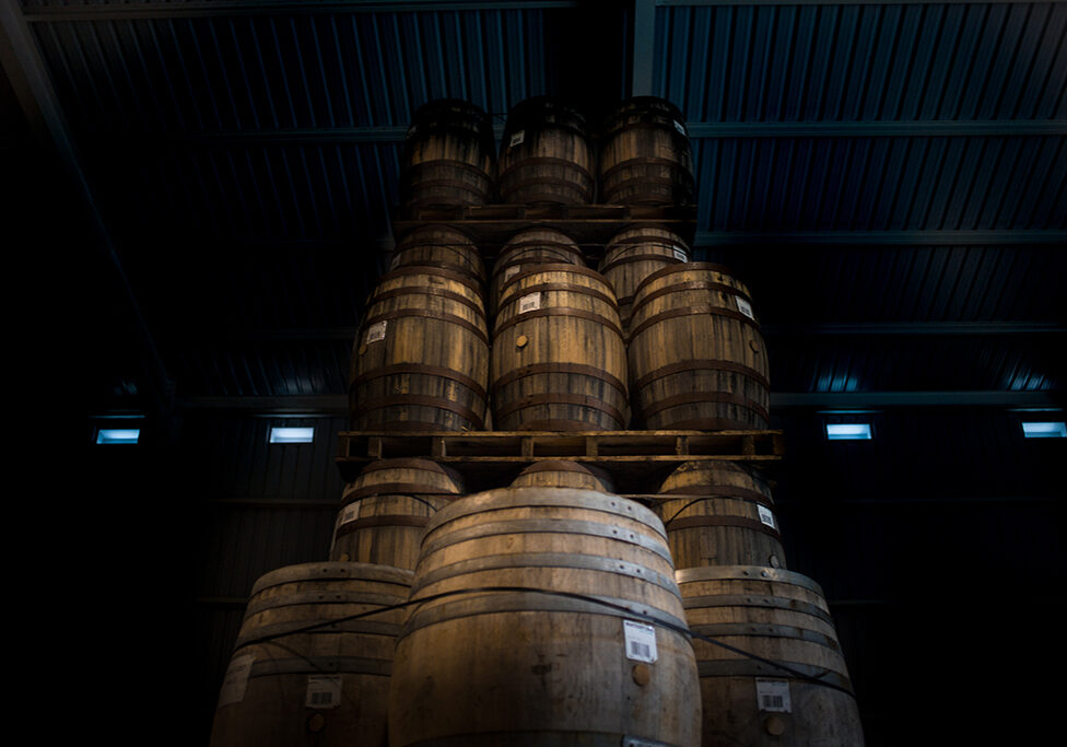 Waterford Distillery_Ballygarran-casks