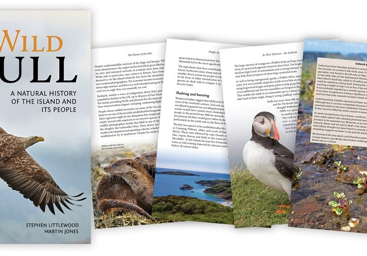 Wild-Mull-page-spread-300-dpi-208x4mj0z