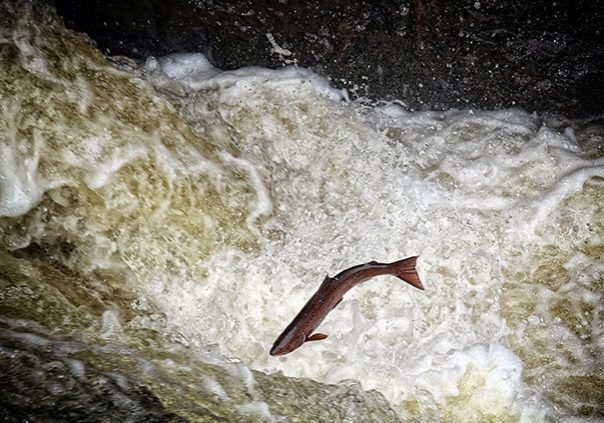 It is illegal to fish for salmon and sea trout on a Sunday in Scotland