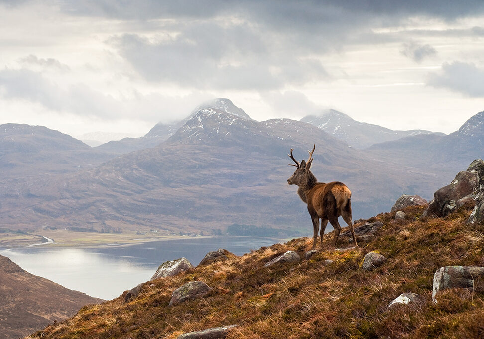 The Nature of Scotland awards celebrate the people, projects and organisations across the country