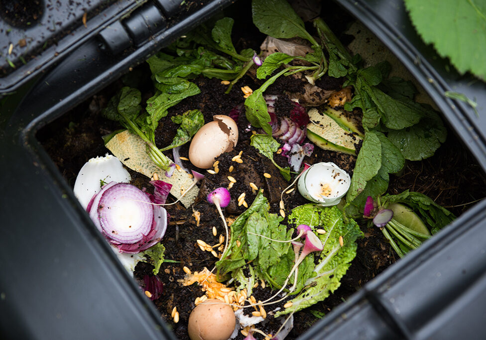 Composting is on the increase in Scotland