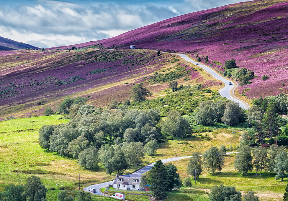 Cairngorms