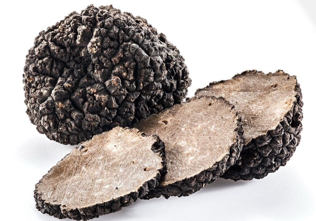 Truffles can sell for £1000 per kilo