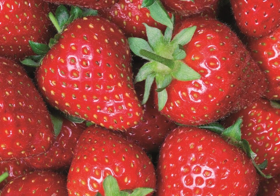 strawberry