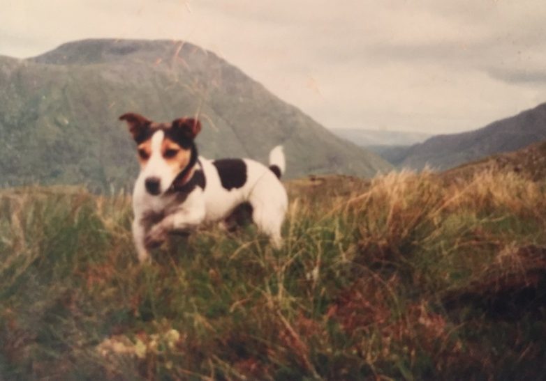 Charlie's old family terrier Sam in the Highlands, which inspired his writing