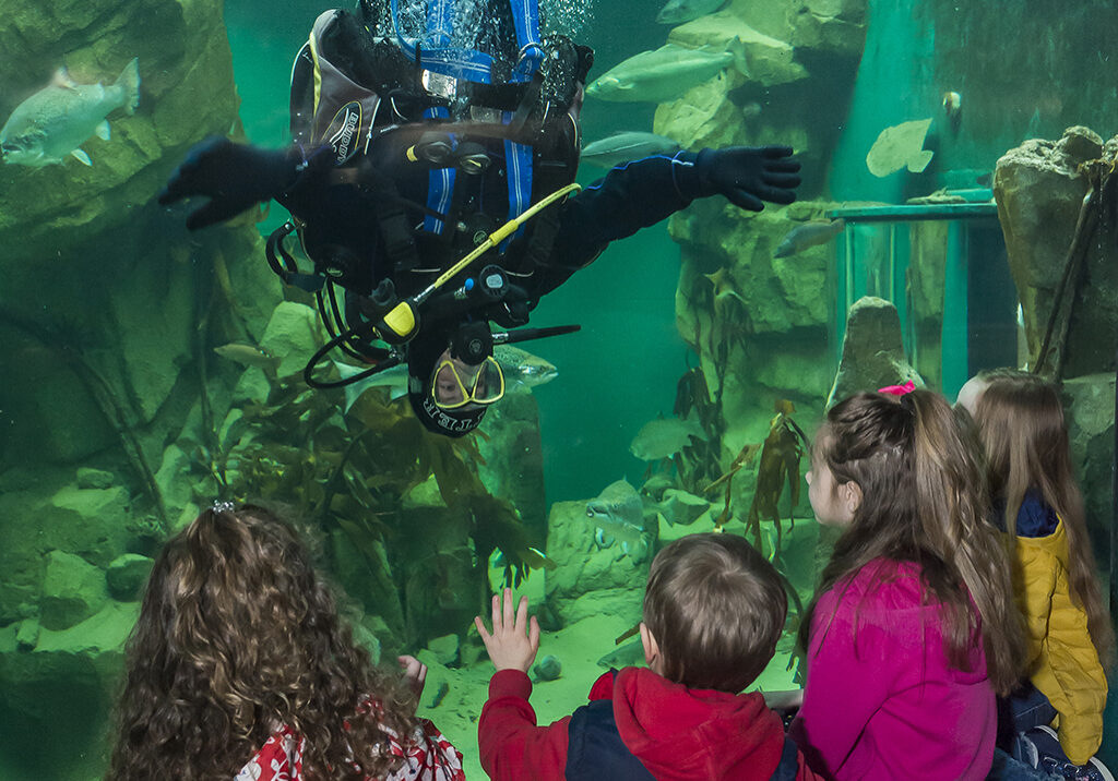 An upside down diver entertains children at Macduff Aquarium